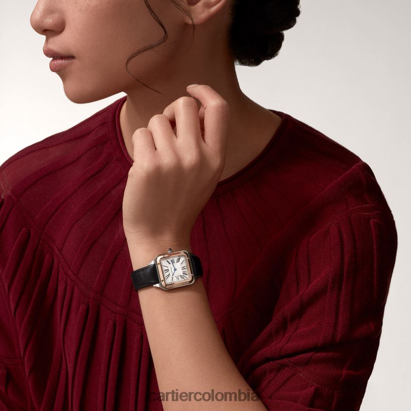 accesorios Cartier reloj santos-dumont elegante V0HXJN873