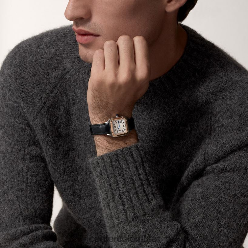 accesorios Cartier reloj santos-dumont elegante V0HXJN873