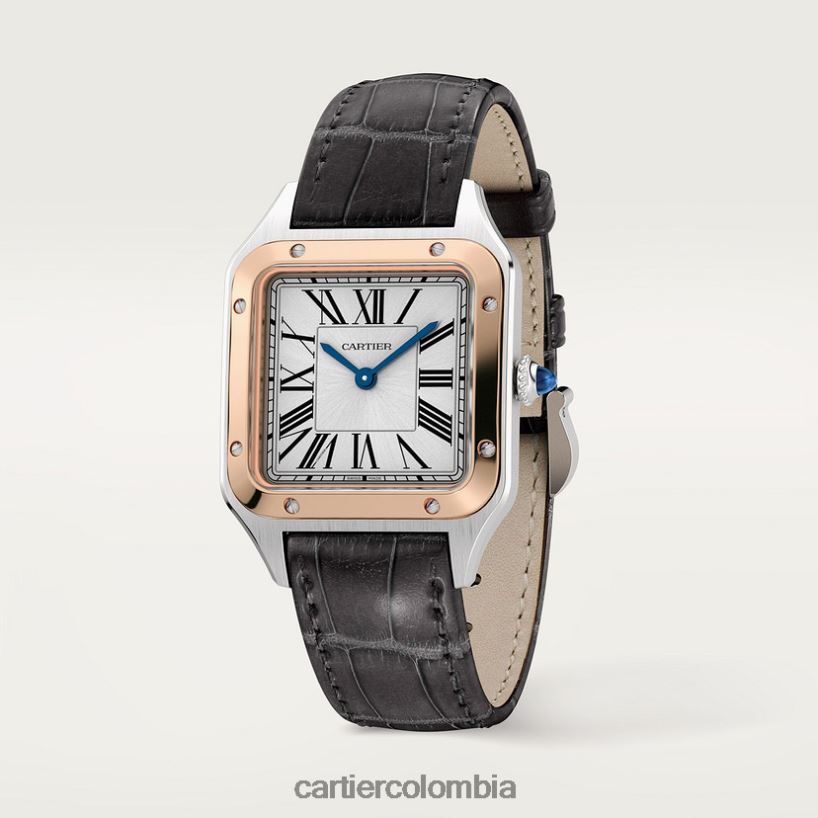 accesorios Cartier reloj santos-dumont elegante V0HXJN873