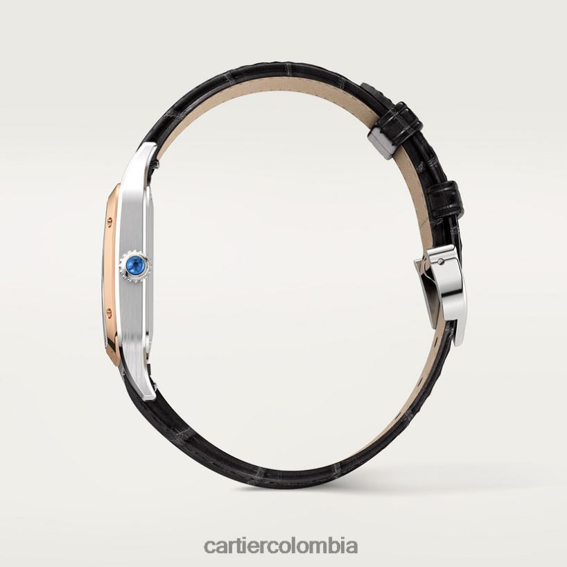 accesorios Cartier reloj santos-dumont elegante V0HXJN873