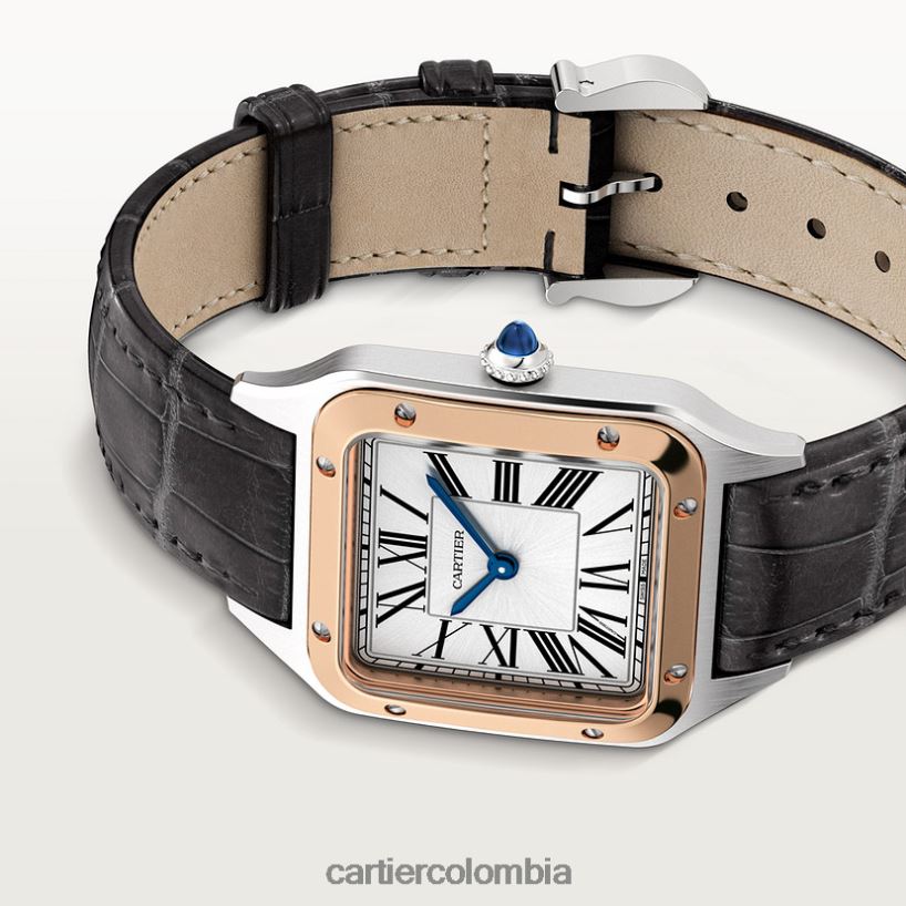 accesorios Cartier reloj santos-dumont elegante V0HXJN873