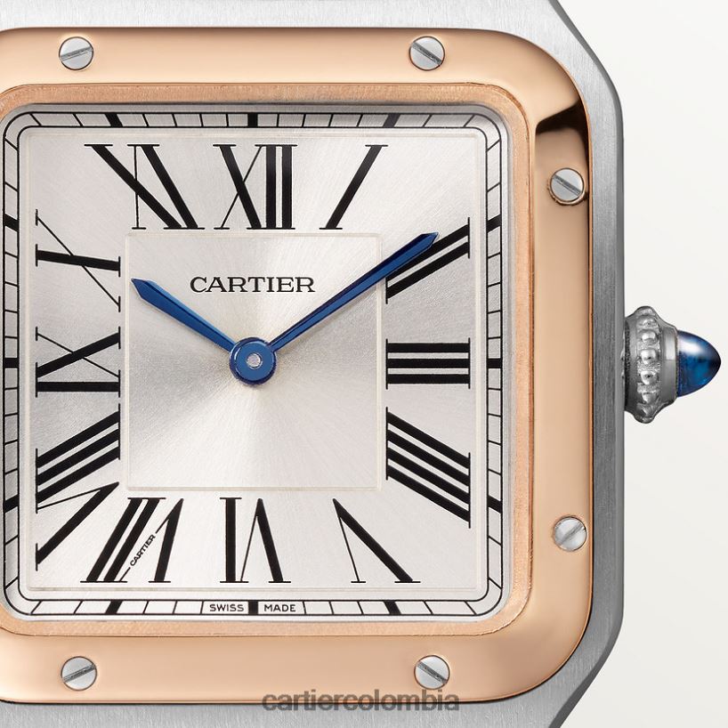 accesorios Cartier reloj santos-dumont elegante V0HXJN873