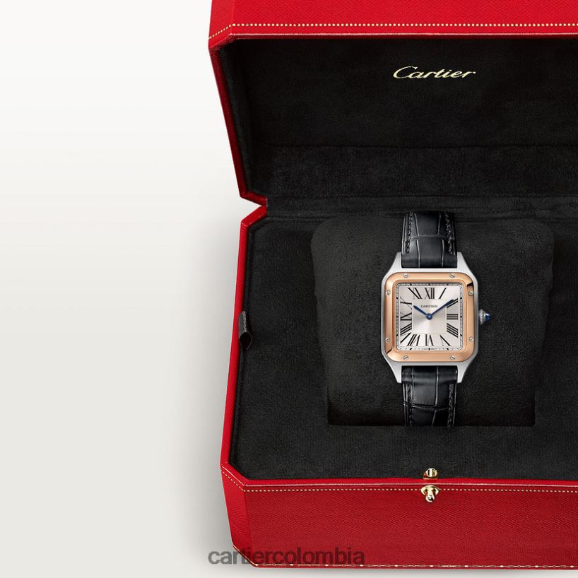 accesorios Cartier reloj santos-dumont elegante V0HXJN873