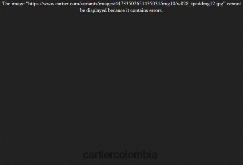 accesorios Cartier reloj santos-dumont elegante V0HXJN874