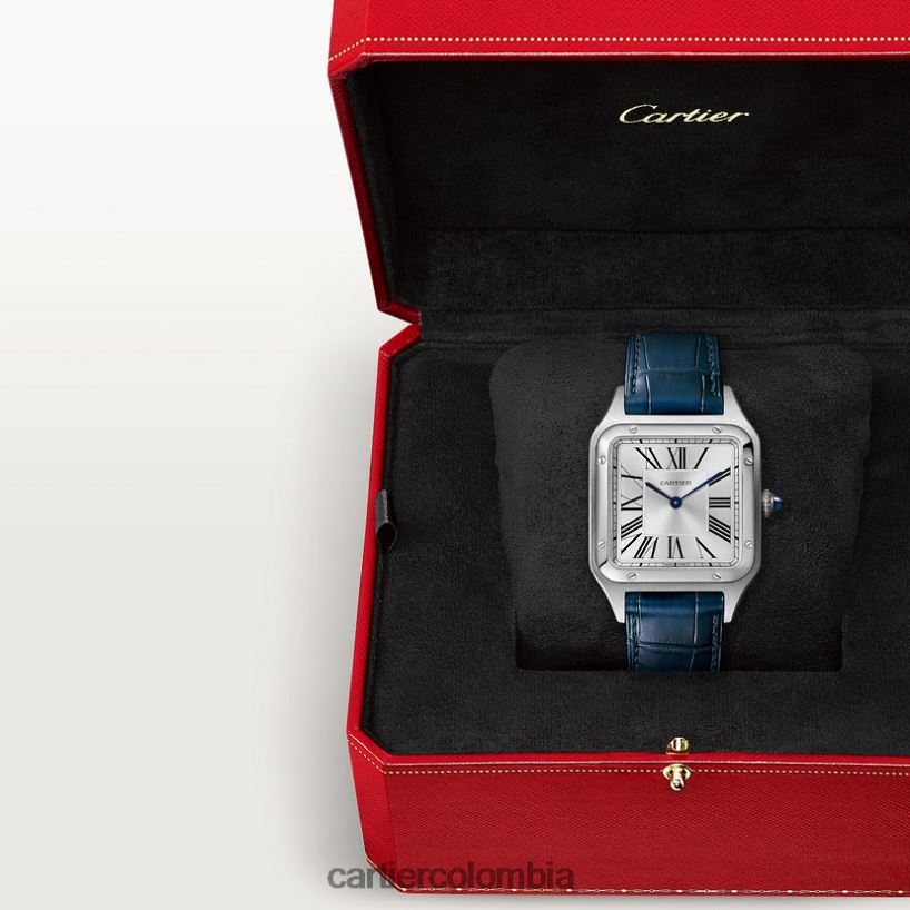 accesorios Cartier reloj santos-dumont elegante V0HXJN874