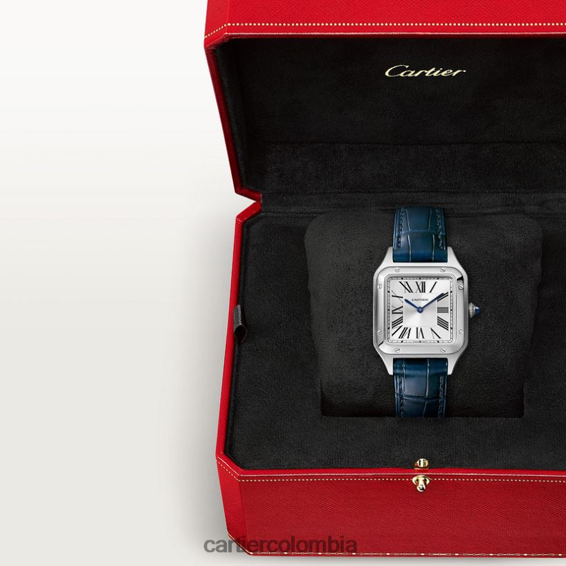accesorios Cartier reloj santos-dumont elegante V0HXJN881