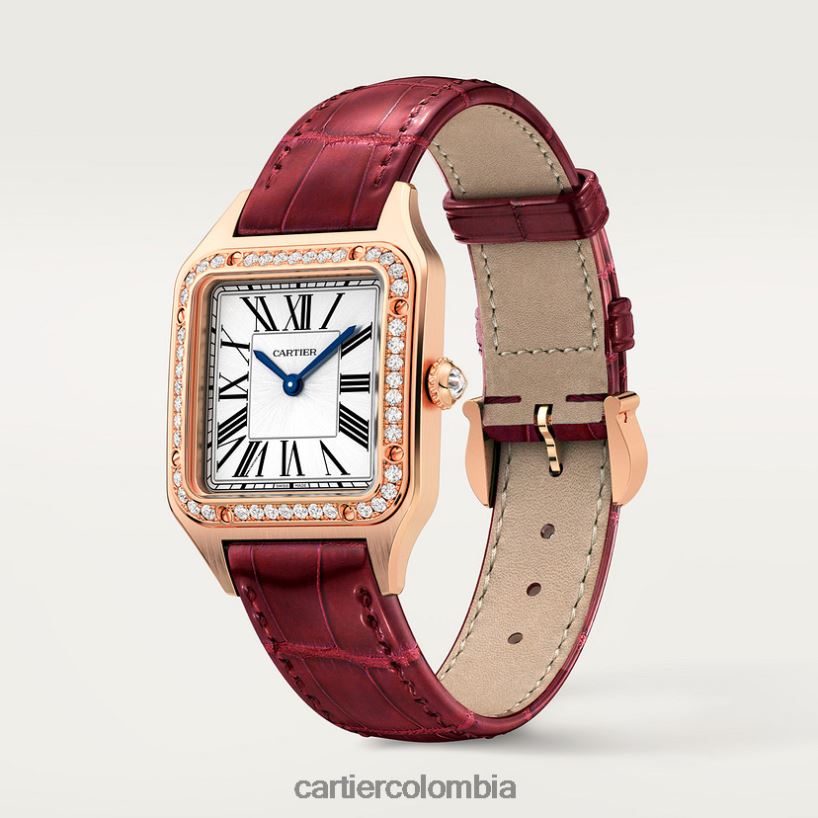 accesorios Cartier reloj santos-dumont elegante V0HXJN882