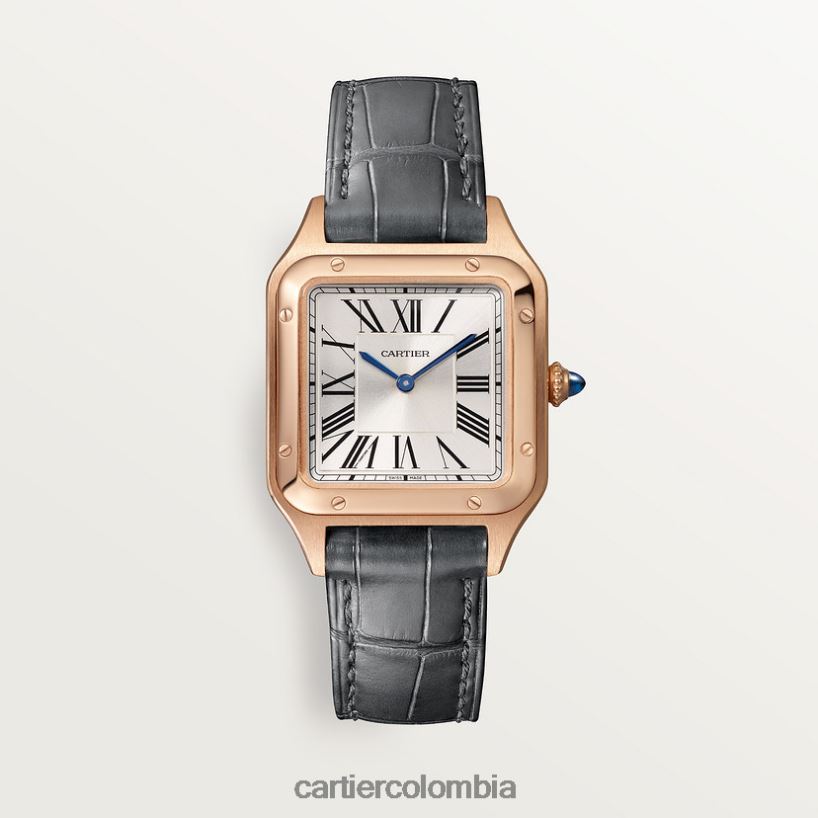 accesorios Cartier reloj santos-dumont elegante V0HXJN883
