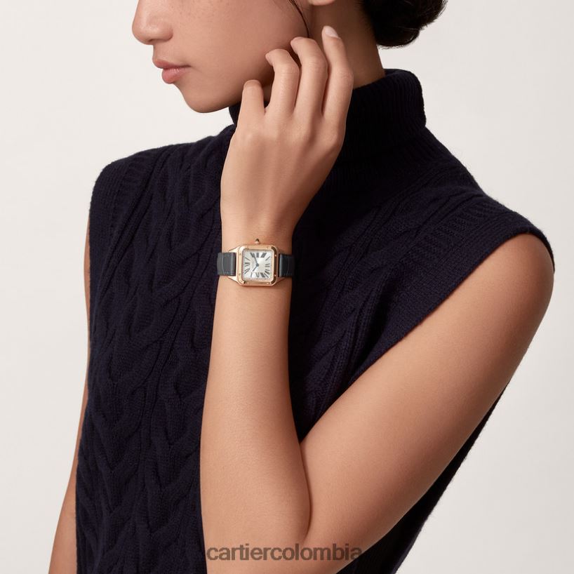 accesorios Cartier reloj santos-dumont elegante V0HXJN883