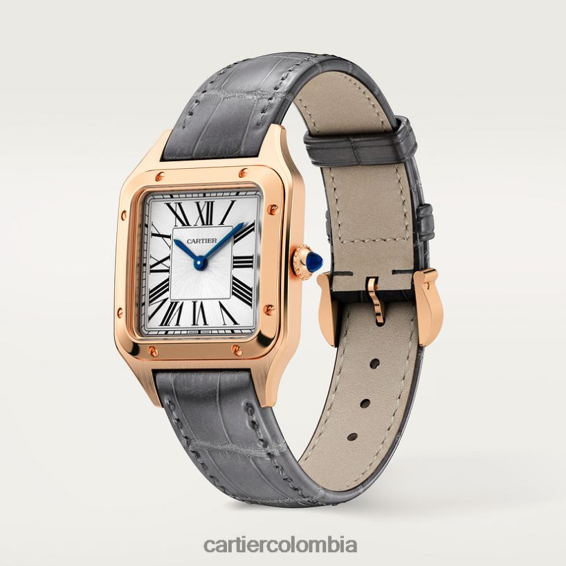 accesorios Cartier reloj santos-dumont elegante V0HXJN883
