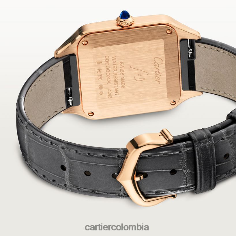 accesorios Cartier reloj santos-dumont elegante V0HXJN883
