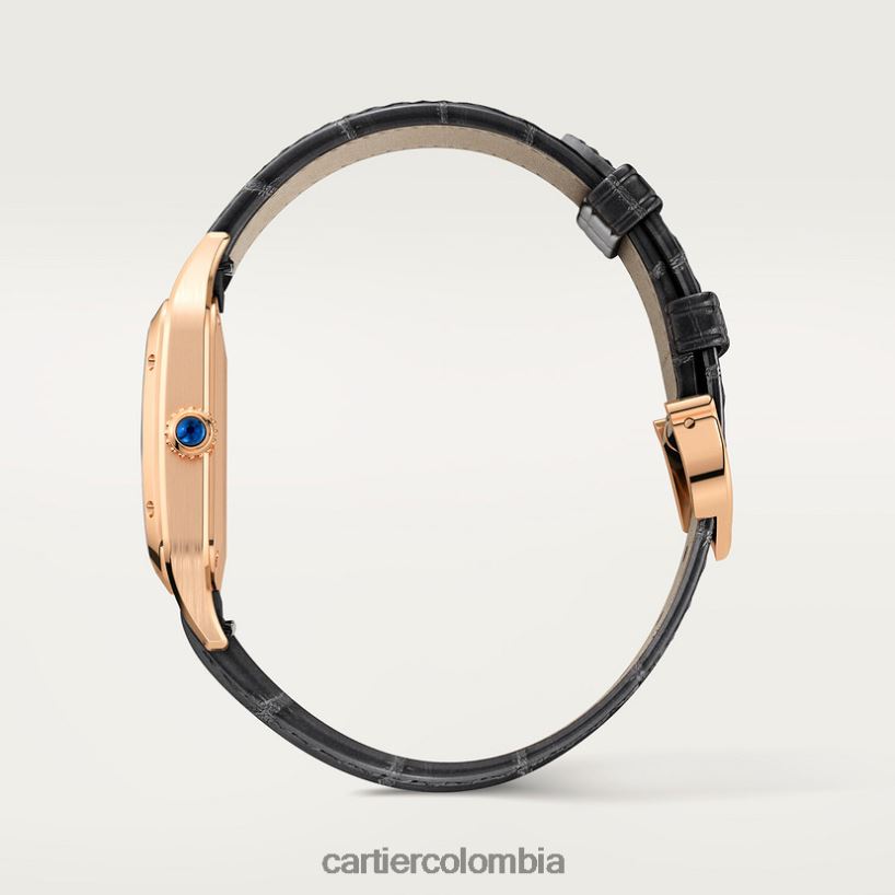 accesorios Cartier reloj santos-dumont elegante V0HXJN883