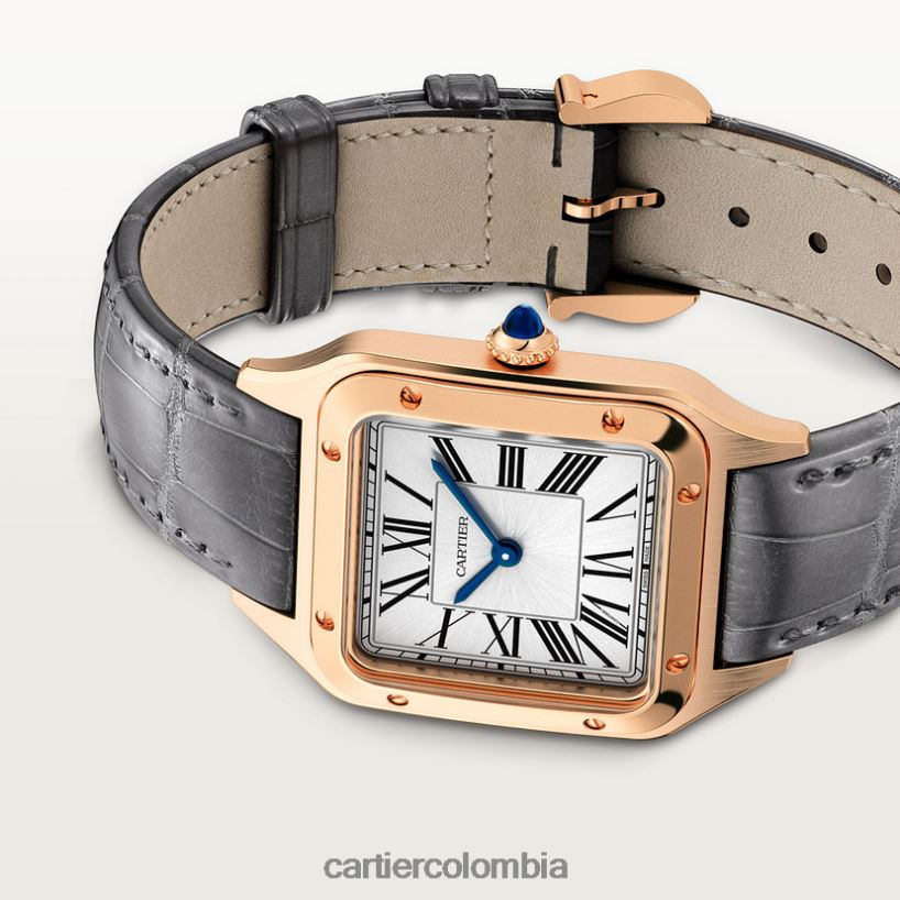 accesorios Cartier reloj santos-dumont elegante V0HXJN883