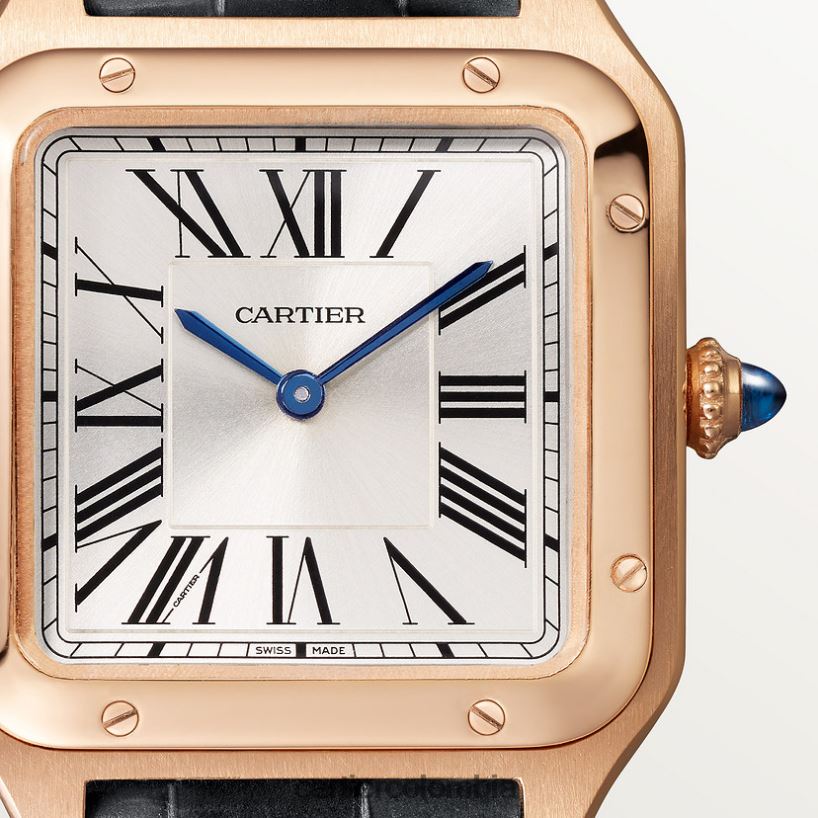 accesorios Cartier reloj santos-dumont elegante V0HXJN883