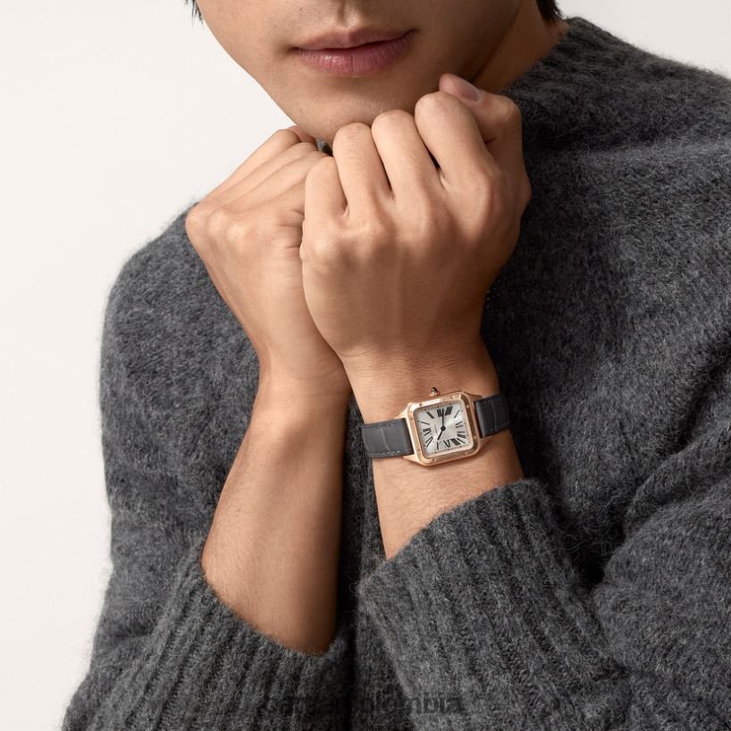 accesorios Cartier reloj santos-dumont elegante V0HXJN883