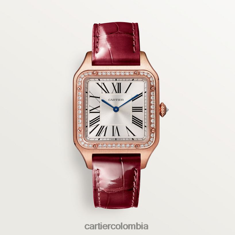 accesorios Cartier reloj santos-dumont elegante V0HXJN888