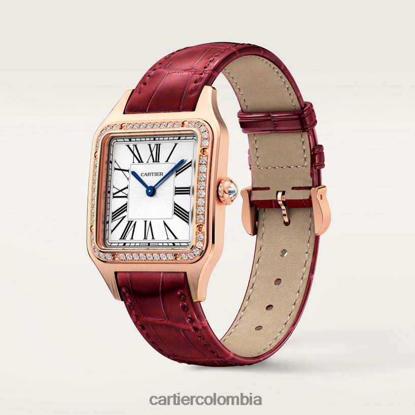 accesorios Cartier reloj santos-dumont elegante V0HXJN888