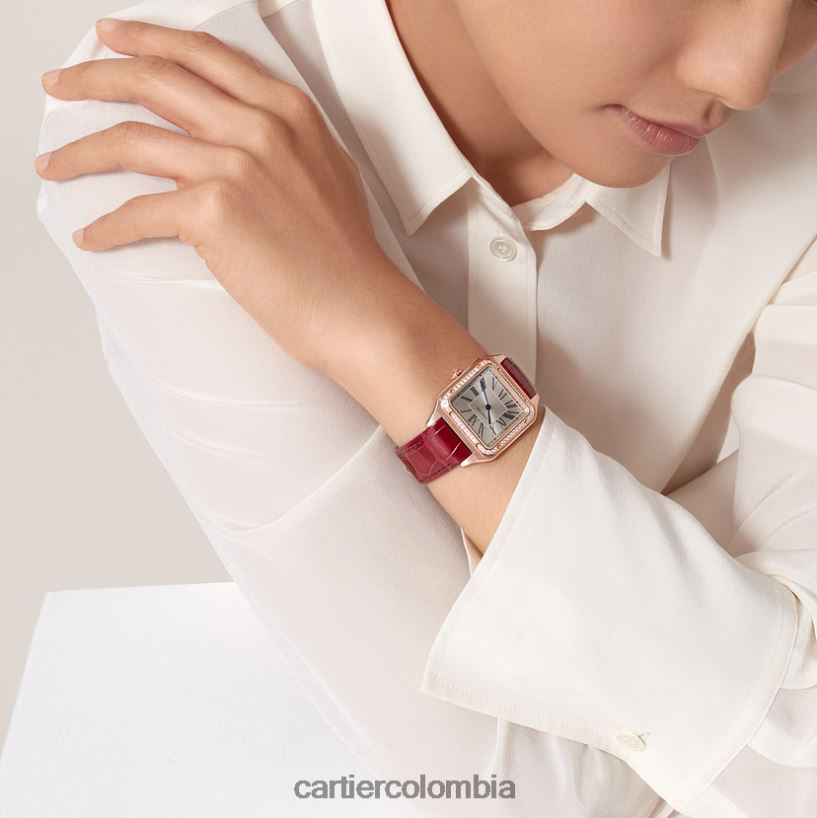 accesorios Cartier reloj santos-dumont elegante V0HXJN888