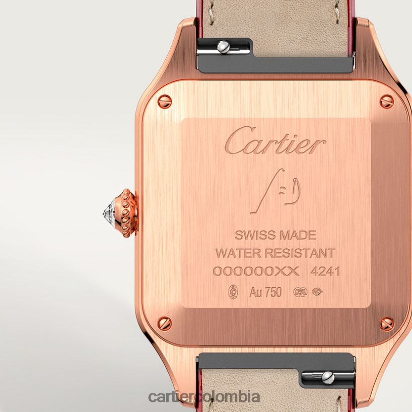accesorios Cartier reloj santos-dumont elegante V0HXJN888