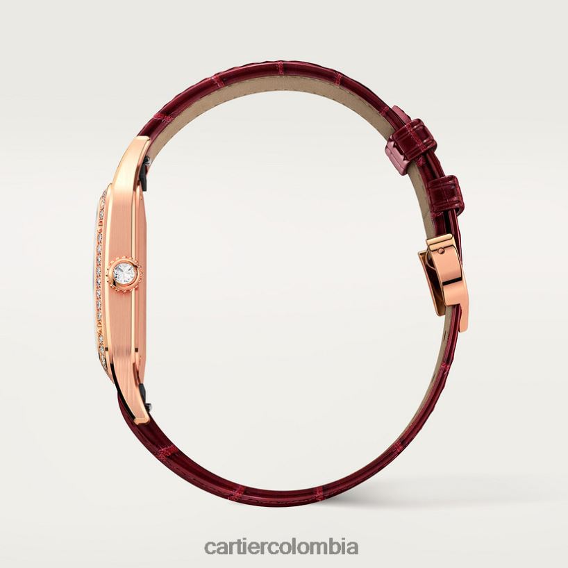 accesorios Cartier reloj santos-dumont elegante V0HXJN888