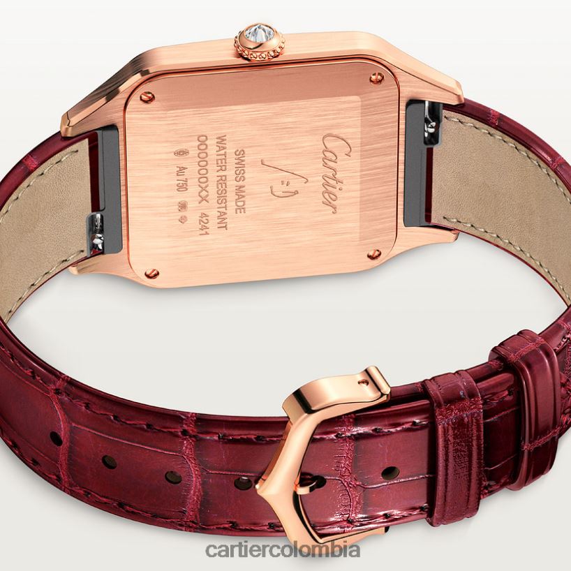 accesorios Cartier reloj santos-dumont elegante V0HXJN888