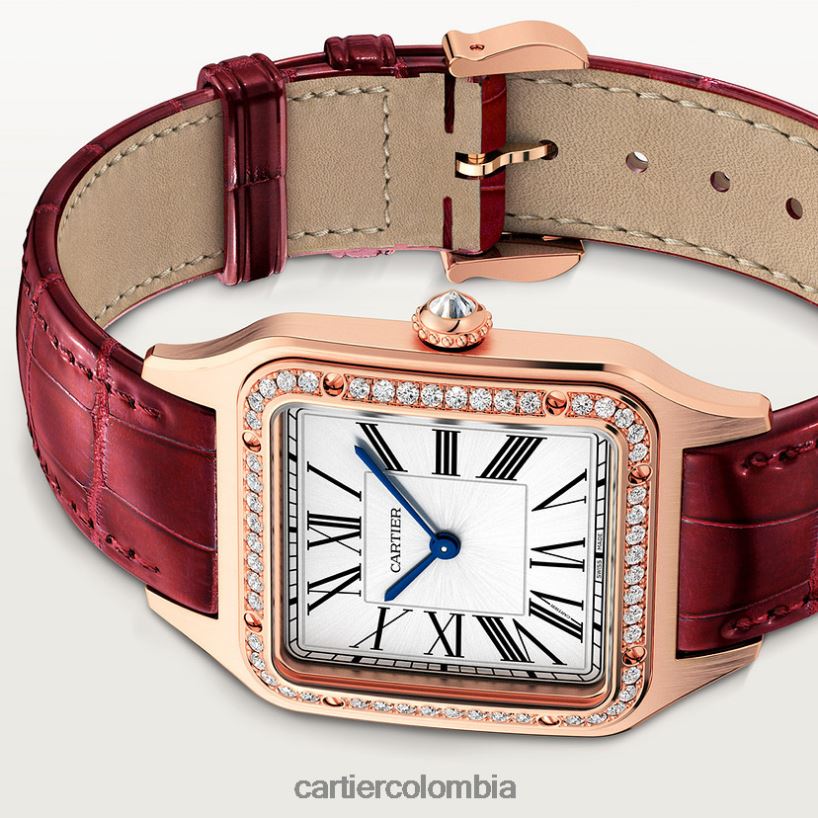 accesorios Cartier reloj santos-dumont elegante V0HXJN888