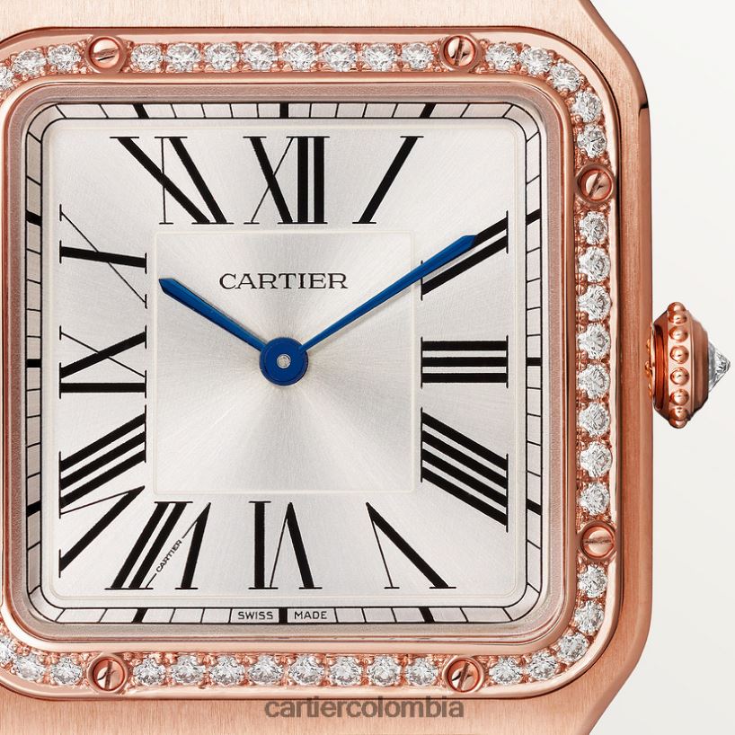 accesorios Cartier reloj santos-dumont elegante V0HXJN888