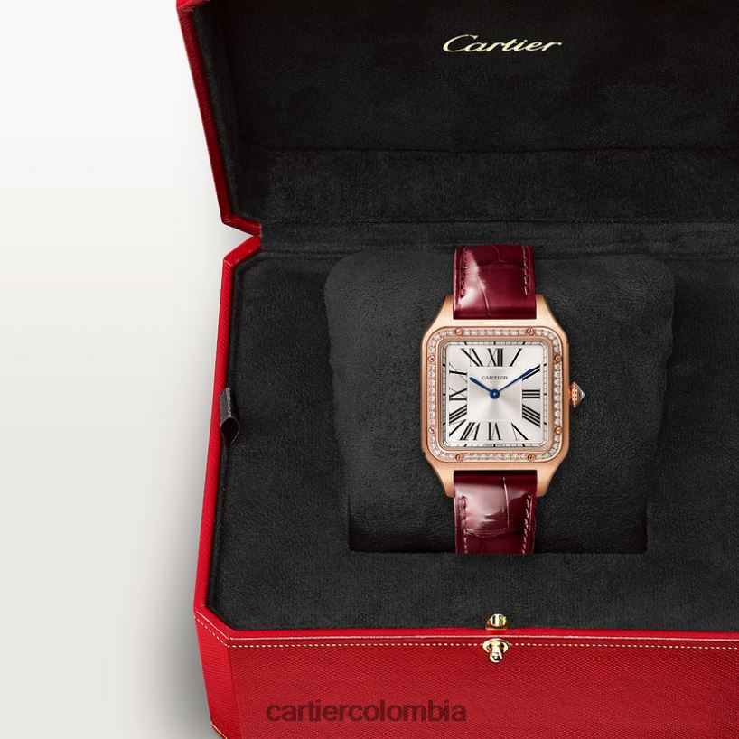 accesorios Cartier reloj santos-dumont elegante V0HXJN888