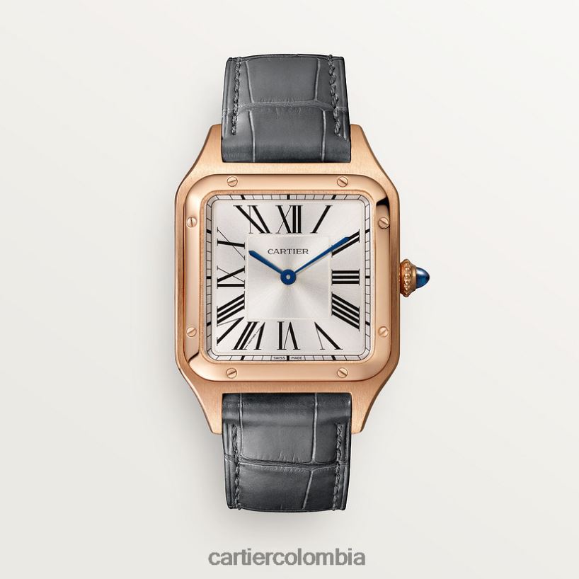 accesorios Cartier reloj santos-dumont elegante V0HXJN889