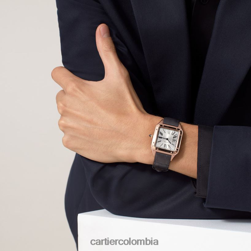 accesorios Cartier reloj santos-dumont elegante V0HXJN889