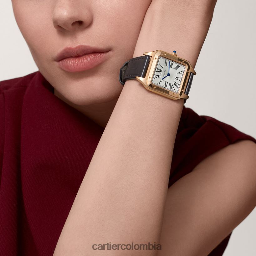 accesorios Cartier reloj santos-dumont elegante V0HXJN889