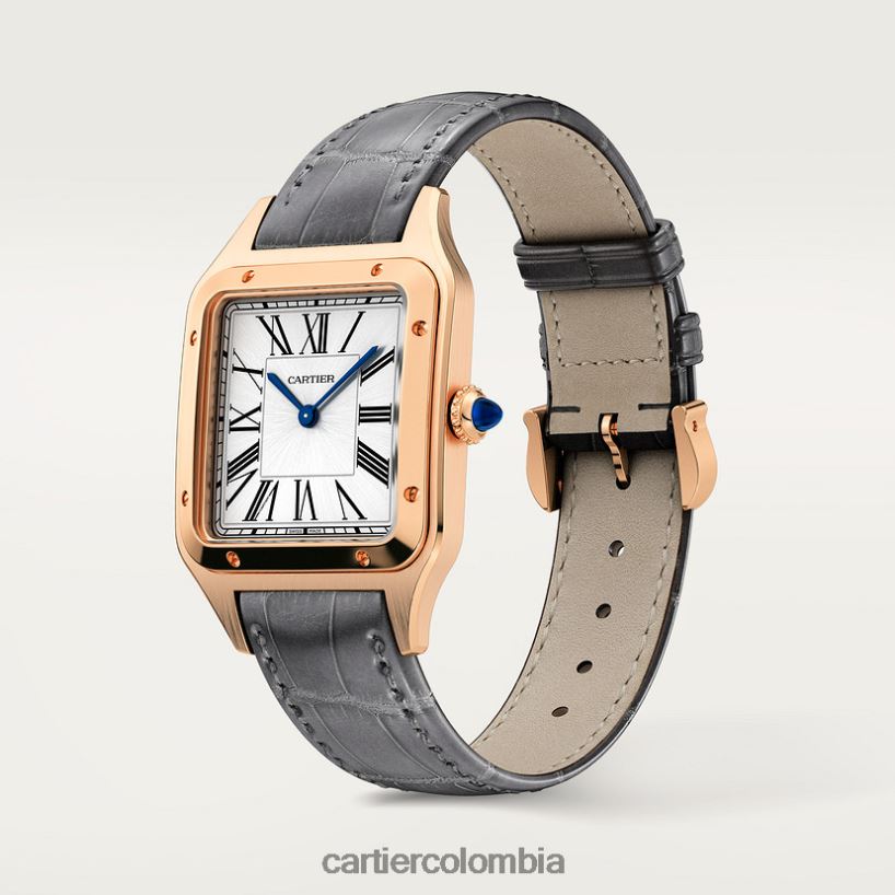 accesorios Cartier reloj santos-dumont elegante V0HXJN889