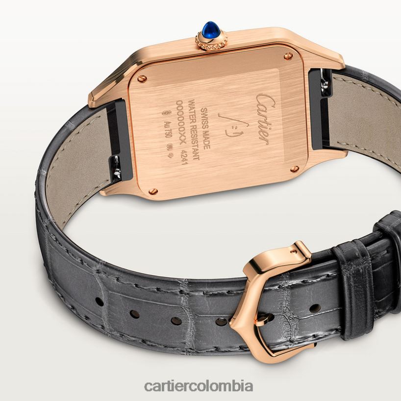accesorios Cartier reloj santos-dumont elegante V0HXJN889