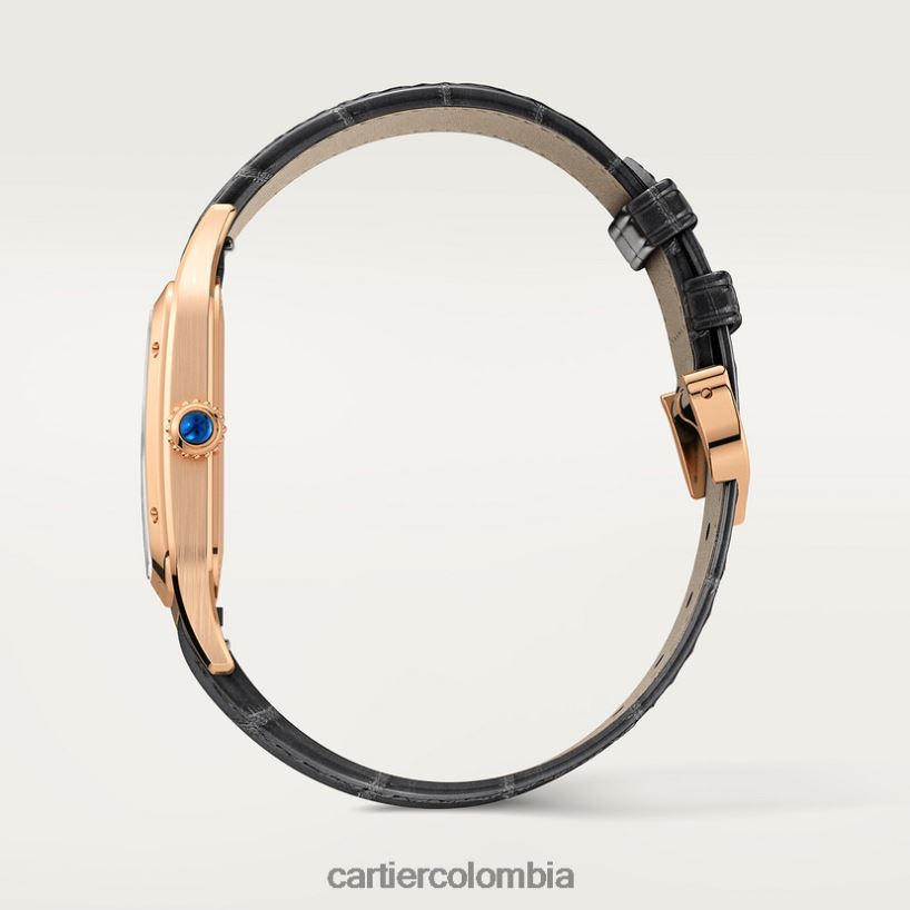 accesorios Cartier reloj santos-dumont elegante V0HXJN889