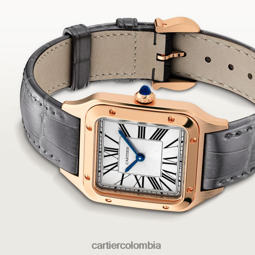 accesorios Cartier reloj santos-dumont elegante V0HXJN889