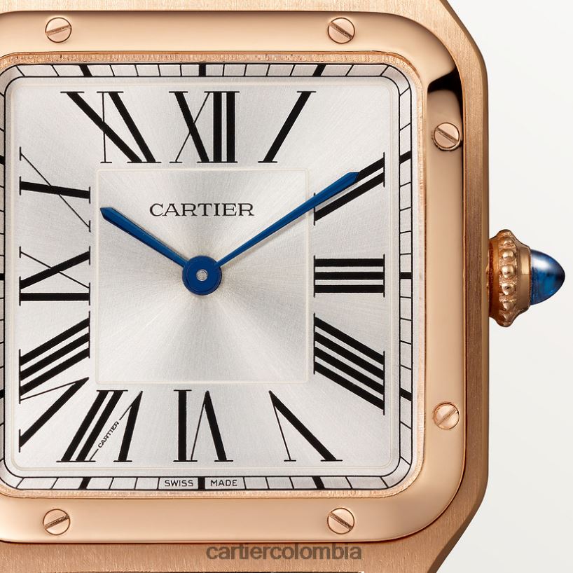 accesorios Cartier reloj santos-dumont elegante V0HXJN889