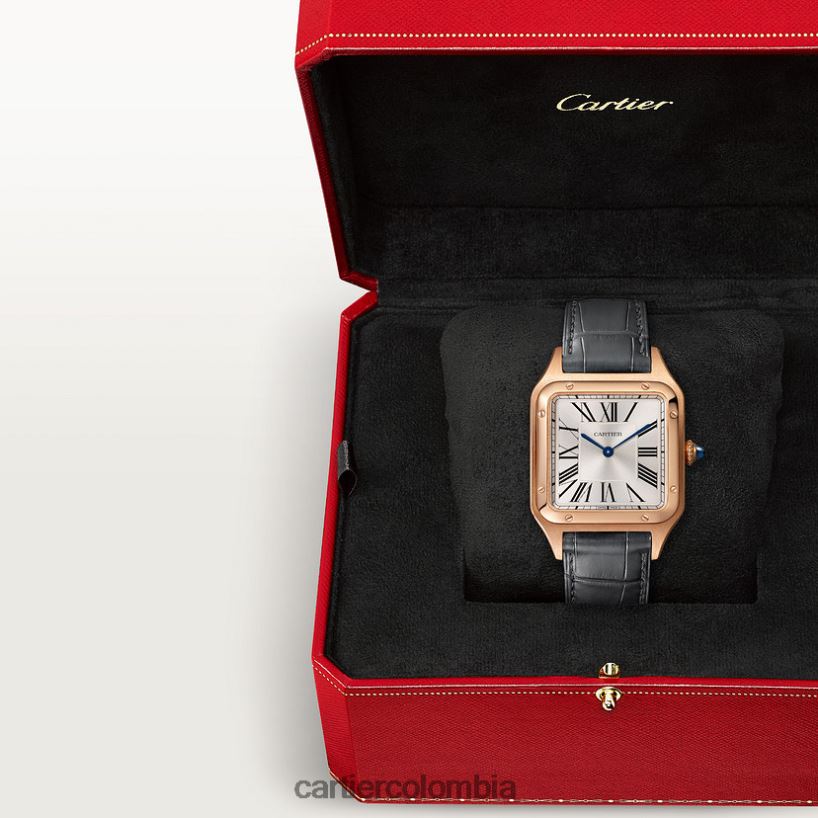 accesorios Cartier reloj santos-dumont elegante V0HXJN889