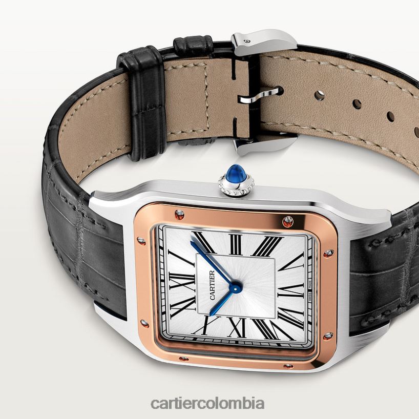 accesorios Cartier reloj santos-dumont elegante V0HXJN891