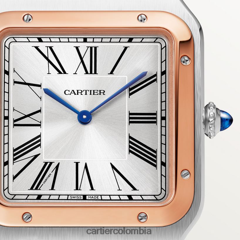 accesorios Cartier reloj santos-dumont elegante V0HXJN891