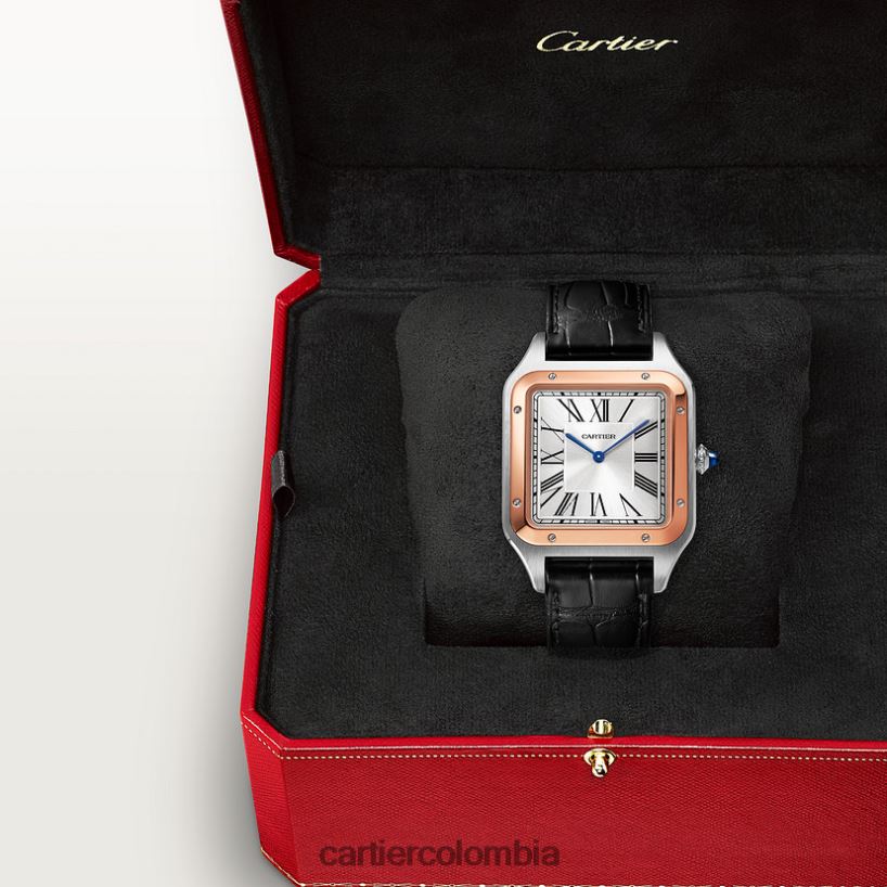 accesorios Cartier reloj santos-dumont elegante V0HXJN891