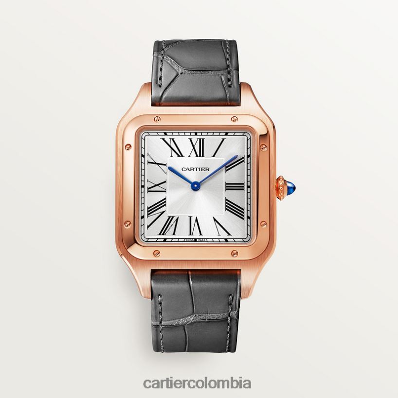accesorios Cartier reloj santos-dumont elegante V0HXJN892