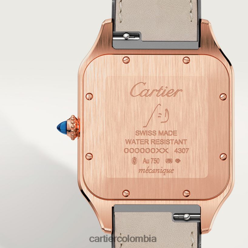 accesorios Cartier reloj santos-dumont elegante V0HXJN892