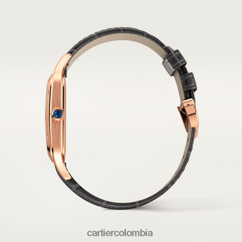 accesorios Cartier reloj santos-dumont elegante V0HXJN892