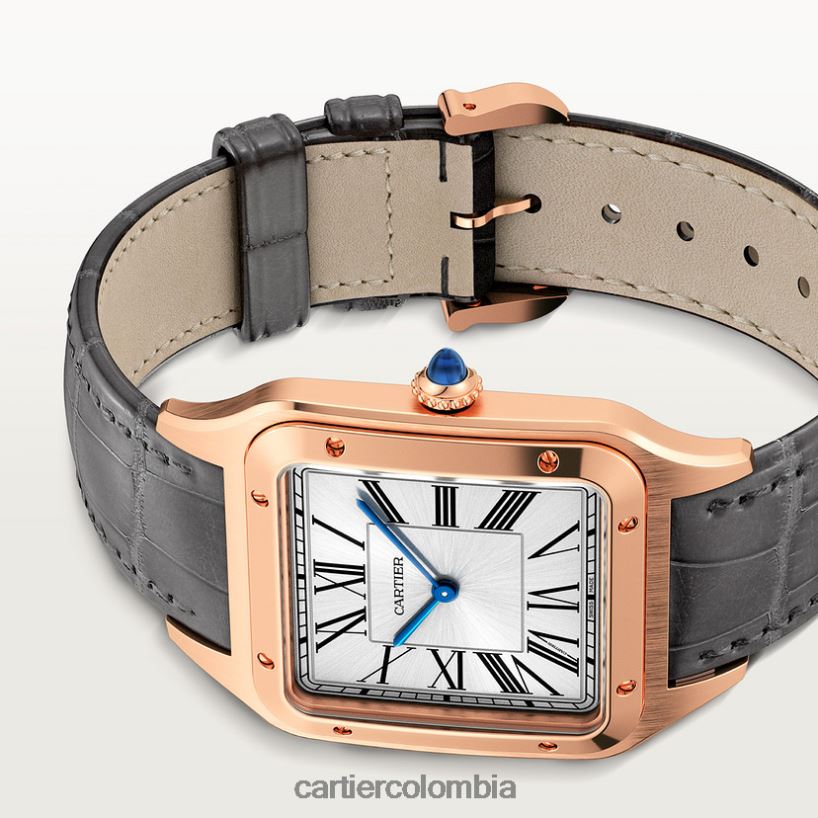 accesorios Cartier reloj santos-dumont elegante V0HXJN892