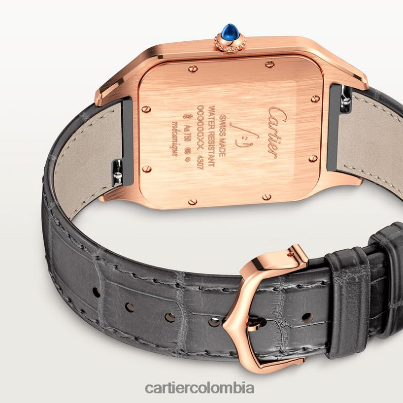 accesorios Cartier reloj santos-dumont elegante V0HXJN892