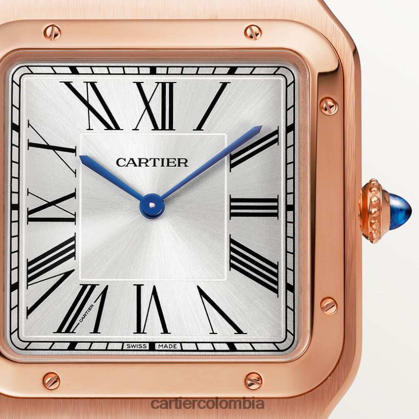 accesorios Cartier reloj santos-dumont elegante V0HXJN892