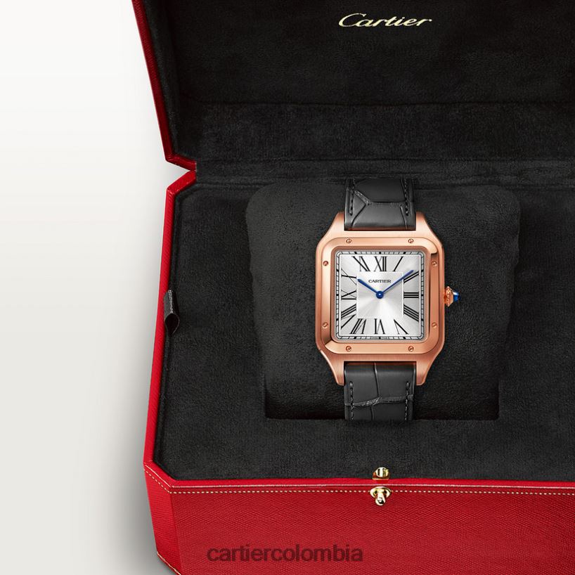 accesorios Cartier reloj santos-dumont elegante V0HXJN892