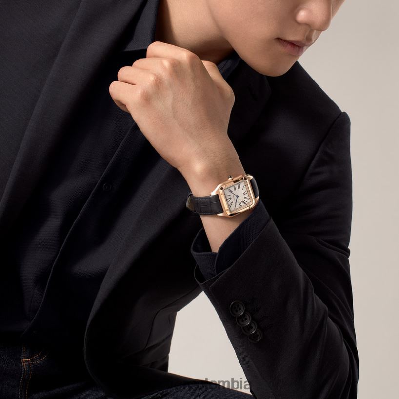 accesorios Cartier reloj santos-dumont elegante V0HXJN892
