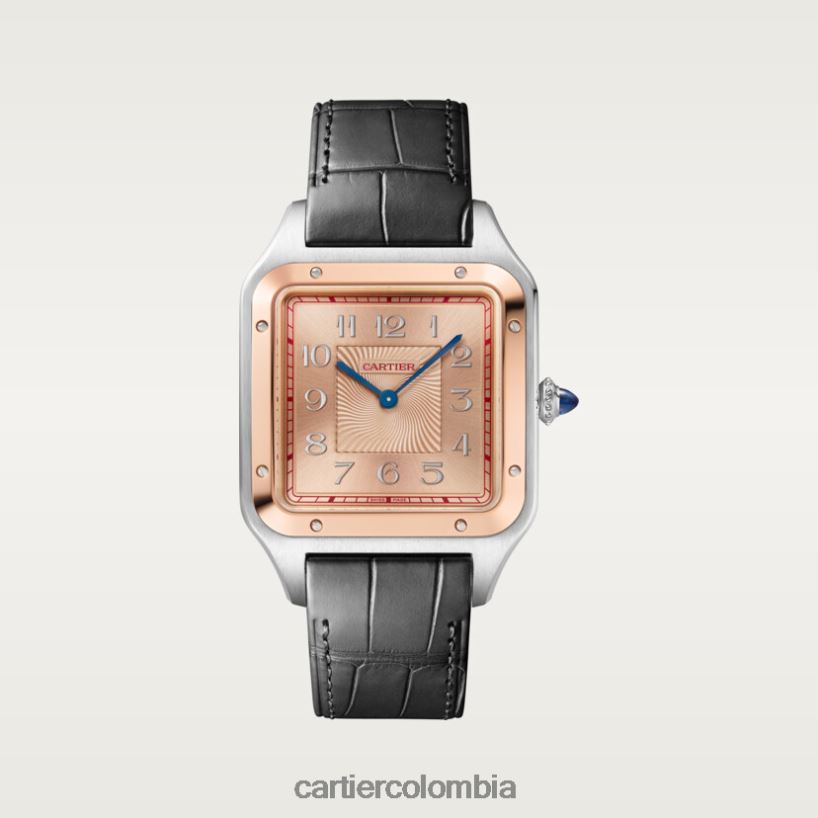 accesorios Cartier reloj santos-dumont elegante V0HXJN897