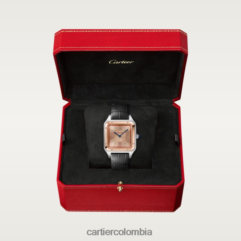 accesorios Cartier reloj santos-dumont elegante V0HXJN897